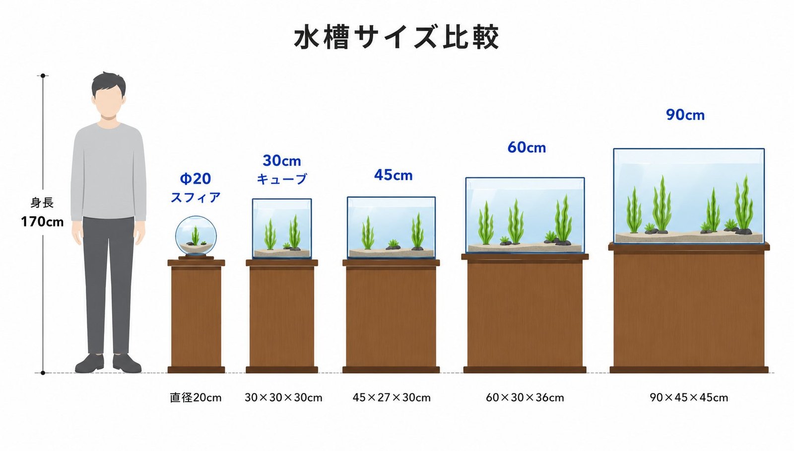 水槽サイズ比較（身長170cmの人と5サイズ）